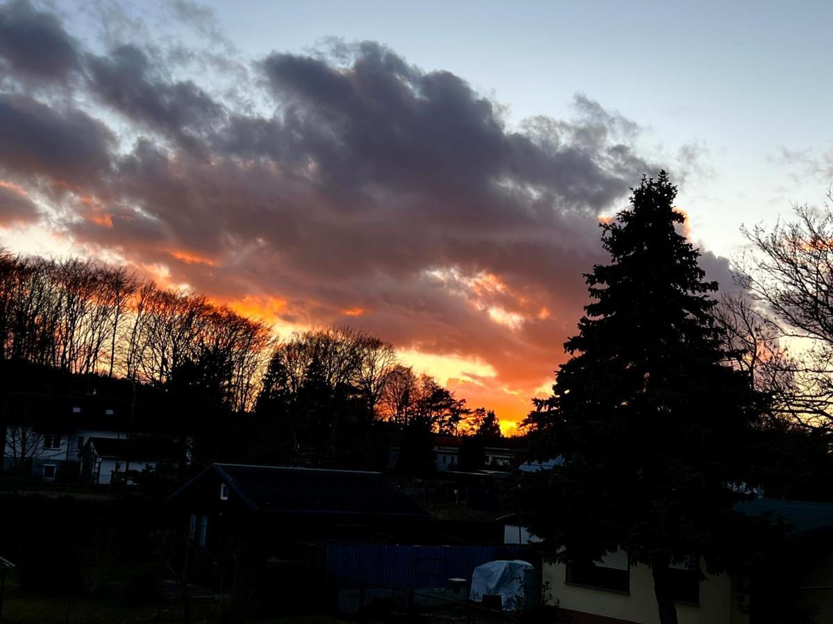 Fewo Sunshine Ostseebad Heringsdorf Exterior foto