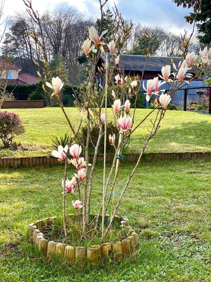 Fewo Sunshine Ostseebad Heringsdorf Exterior foto